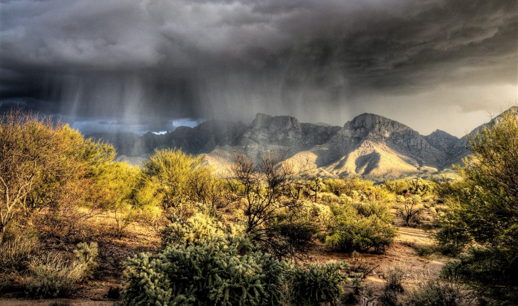 does-weather-hurt-courtney-medical-group